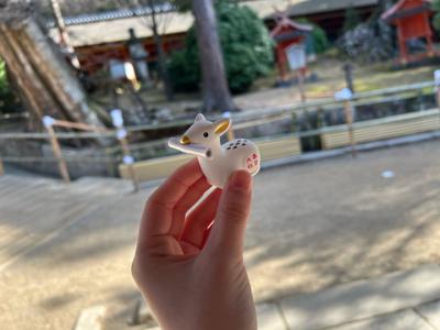 2023年🐰 - 画像2