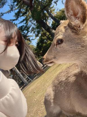 2023年🐰 - 画像3