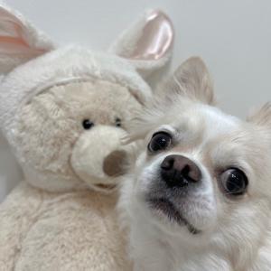 ‪‪☺︎‬ - 画像3