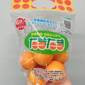 #179 宮崎！！！ - 画像2