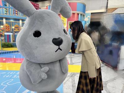 いろいろ - 画像5