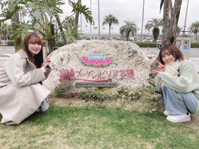 ブーゲンビリア - 画像3