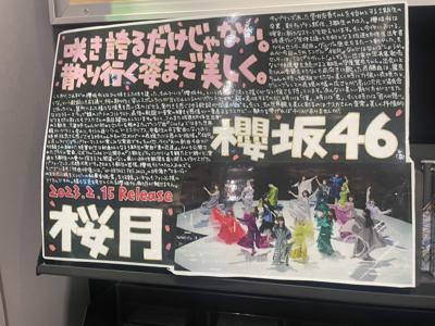 ついに『桜月』リリース🌸 - 画像3