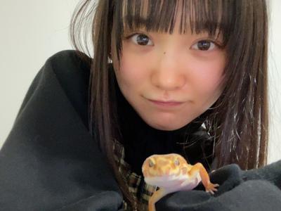 いろいろ - 画像3