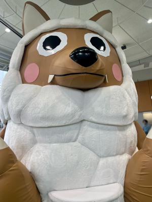 GoTo櫻旅🌸 - 画像5