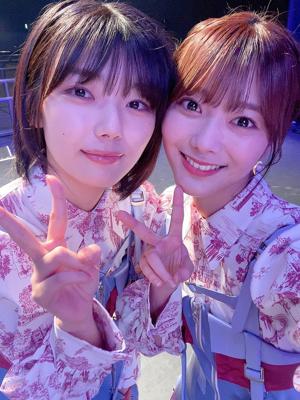 わんわん - 画像2