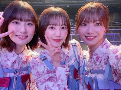 わんわん - 画像3