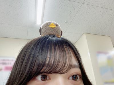 とうきょう！アイチ！福岡！ - 画像4
