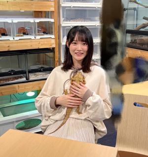 🦎YouTube🦎 - 画像2