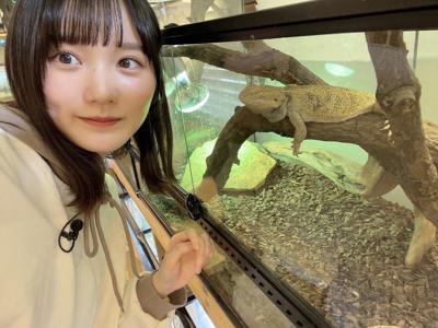 🦎YouTube🦎 - 画像3