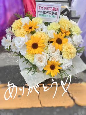 #202 サクコイ - 画像8