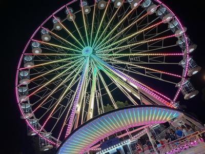 🐰🐨🐸 - 画像3