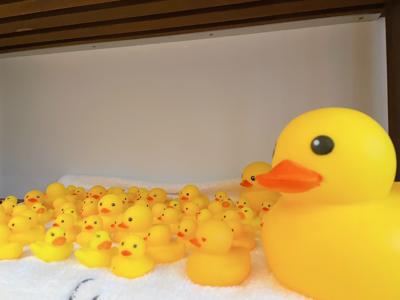 1周年記念 - 画像2