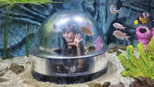 いのりぶろぐ　#レゴランド　#シーライフ - 画像4