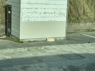 ボーっとしてたのか洗濯機の中にヘアゴム投げてた、洗顔クリームと歯磨き粉間違えたりもした、そんな日もあるよね10月17日、26 - 画像7