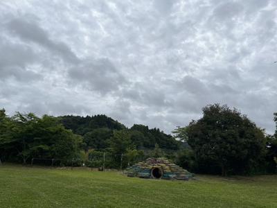 ボーっとしてたのか洗濯機の中にヘアゴム投げてた、洗顔クリームと歯磨き粉間違えたりもした、そんな日もあるよね10月17日、26 - 画像10