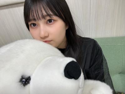🧸 - 画像5