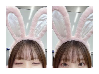 #236 うさぎ - 画像12