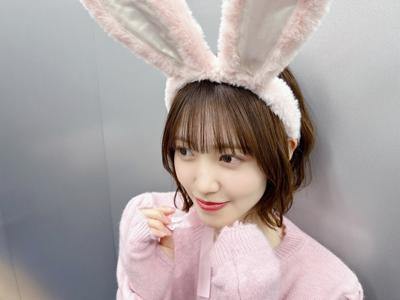 #236 うさぎ - 画像3