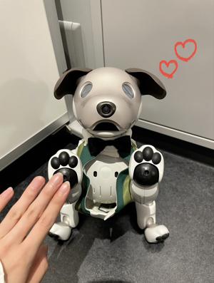 38度目の愛季だよ〜〜 😔㊗️🐶 - 画像4