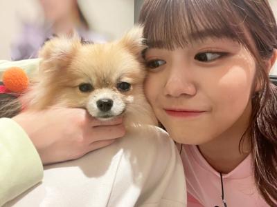 たくさんのありがとう - 画像6