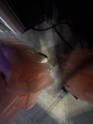 ときめき の共有 - 画像2