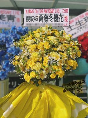 - 画像16