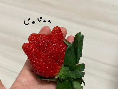 空気、46 - 画像5