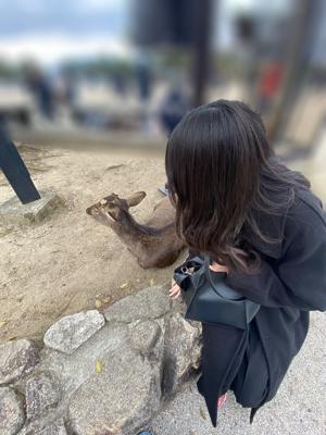 だいすきな広島 - 画像3