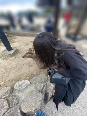だいすきな広島 - 画像4