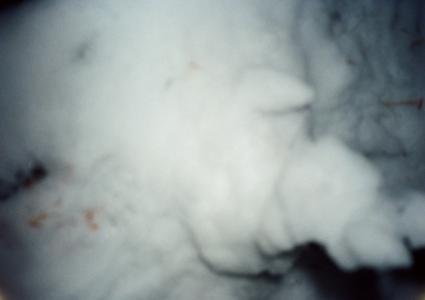 写真 - 画像11