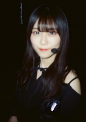 写真 - 画像10