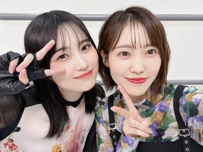 #260 春が待ち遠しい - 画像3