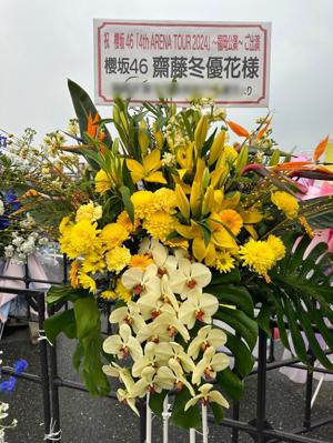  - 画像9
