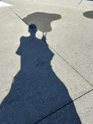 久しぶり！！てんちゃんだよ！！ - 画像9