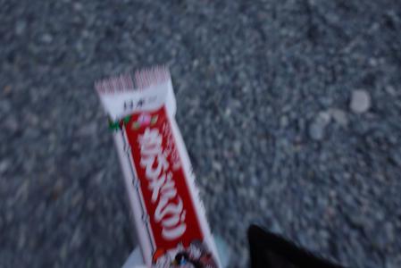 🎓🌊🌸 - 画像7