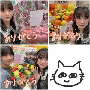 リアルミーグリ🌼 - 画像8