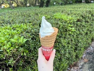 切りすぎた前髪を探したいところだけど、出来るだけ視界を明るくしてくれてるのかなとも思うから視野を広くするキャンペーンでも開いてみようかなと思ったり、75 - 画像7