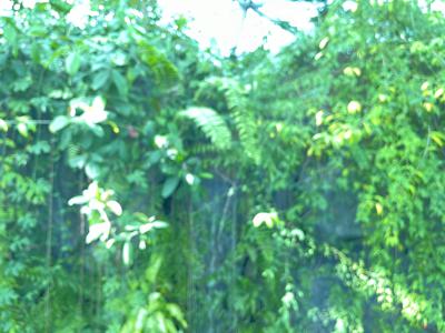 切りすぎた前髪を探したいところだけど、出来るだけ視界を明るくしてくれてるのかなとも思うから視野を広くするキャンペーンでも開いてみようかなと思ったり、75 - 画像10