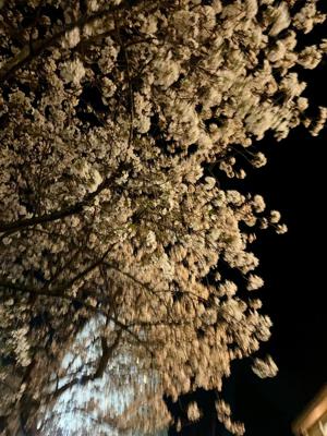 走るポーズで眠るユーヅ - 画像11