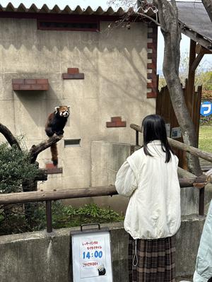 ふくおか！オオサカ！愛知！KANAGAWA！ - 画像9