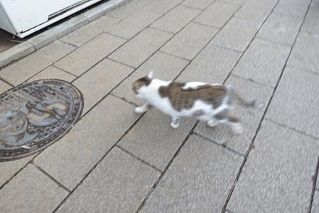 こんばんは - 画像4