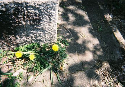 こんばんは - 画像2