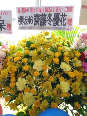  - 画像14