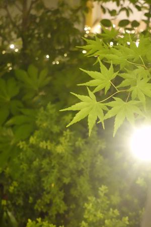 こんばんは - 画像2