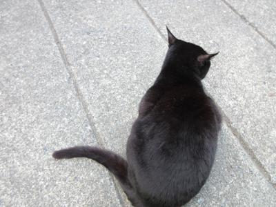 ちょっとした冒険の1日 - 画像4