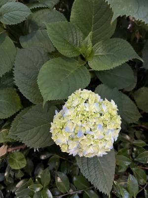 こんばんは - 画像22