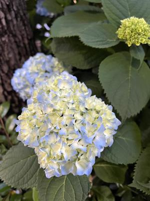 こんばんは - 画像23
