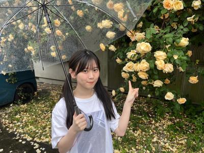 こんばんは - 画像24