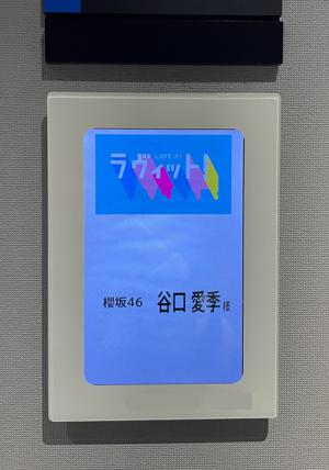 週の真ん中 水曜日🐰 - 画像4